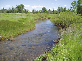 Low Flow 2004 runoff