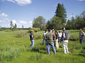 meadow tour with lush vegetation and stable channel